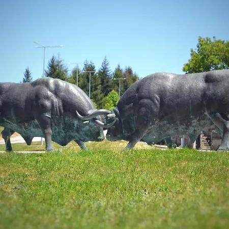 Casa Machado * Montalegre